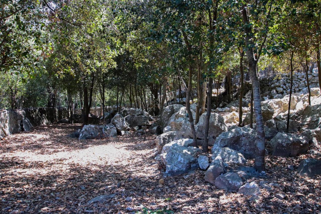 Villa Plomera Pollença Exteriér fotografie